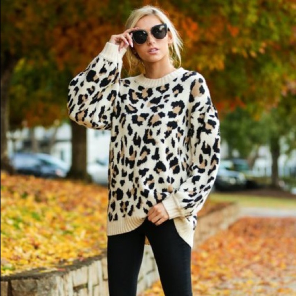 Cheetah print sweater